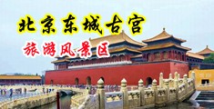 18禁黑丝美女自慰视频中国北京-东城古宫旅游风景区